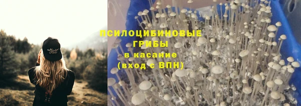 трава Алзамай
