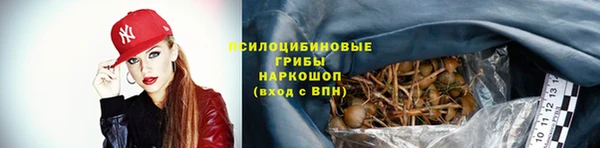 трава Алзамай