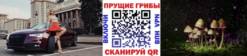 MEGA зеркало  купить закладку  Жуковский  Псилоцибиновые грибы GOLDEN TEACHER 