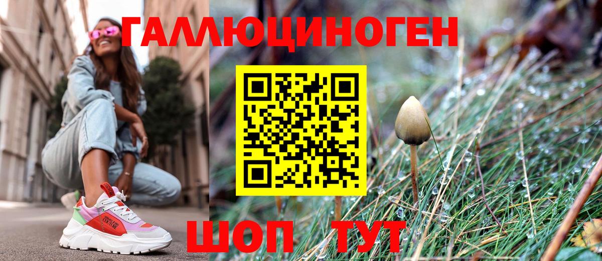 Псилоцибиновые грибы GOLDEN TEACHER Жуковский