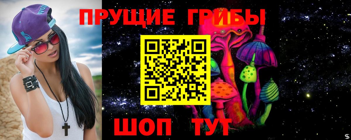 Галлюциногенные грибы MAGIC MUSHROOMS  Вход с VPN  Жуковский 